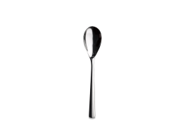 Evolve Table Spoon